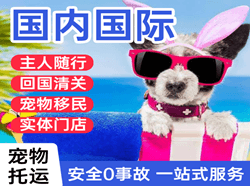 南昌昌北航空邮寄国际宠物托运 【国